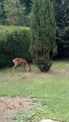 Location proche de Paris, Versailles et de la nature